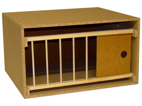 CELA 50 STANDARD
