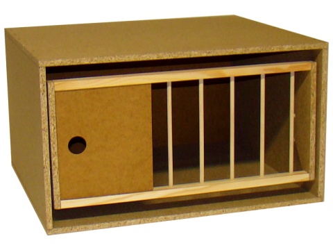 CELA 62 STANDARD