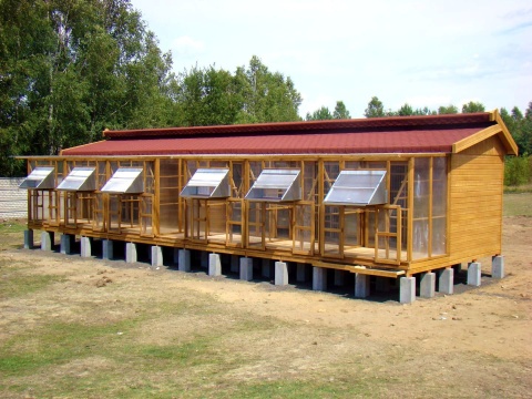 GOŁĘBNIK 4V - PROJEKT I WYCENA